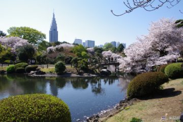 gardens in Tokyo