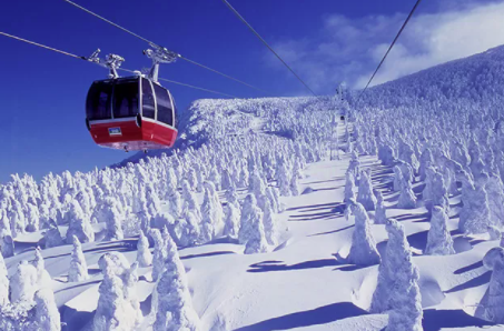 Zao ski resort is famous for its frost covered trees.